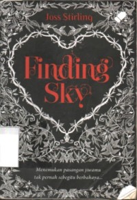 Image of Finding SKY